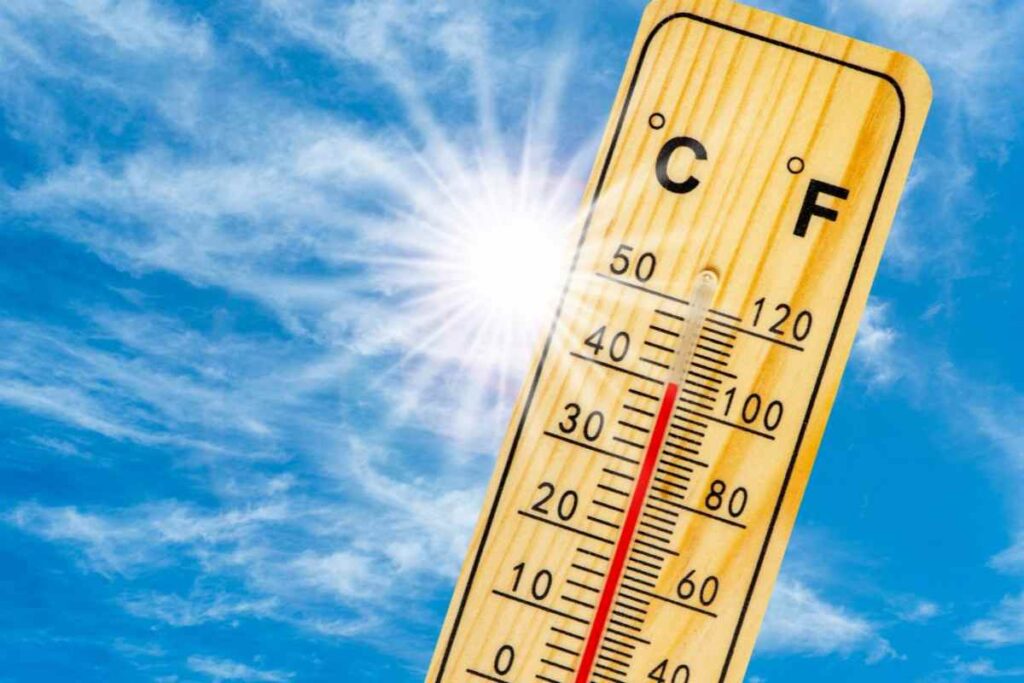 caldo