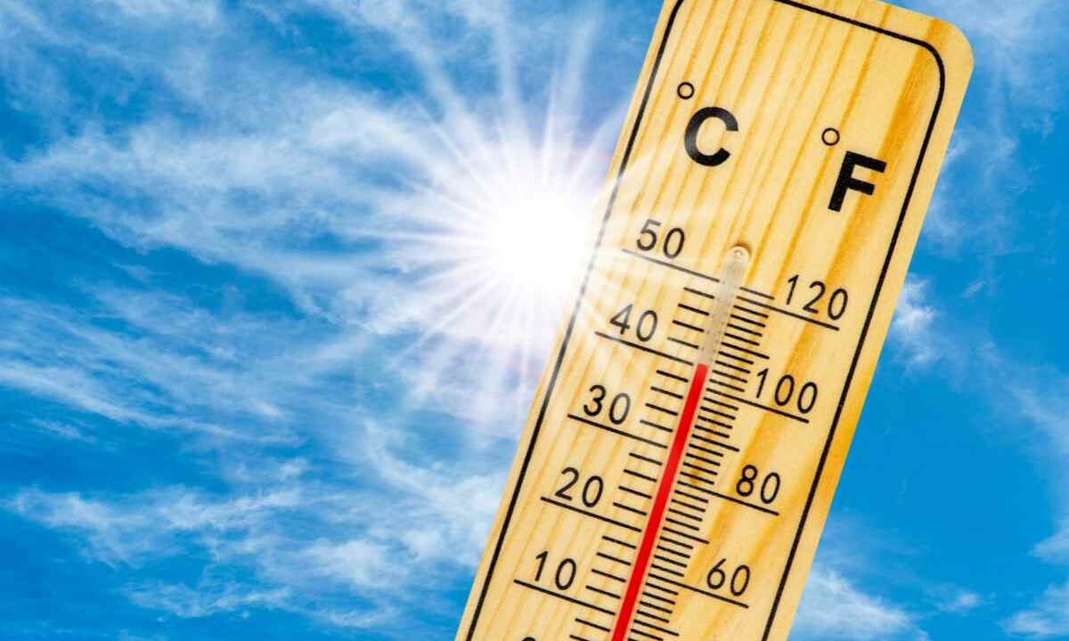 caldo
