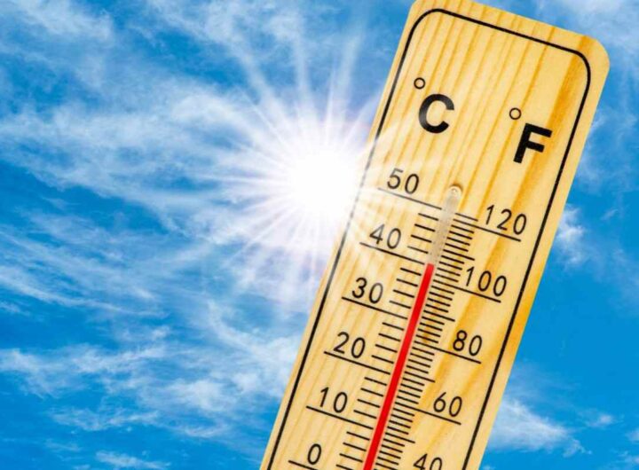caldo