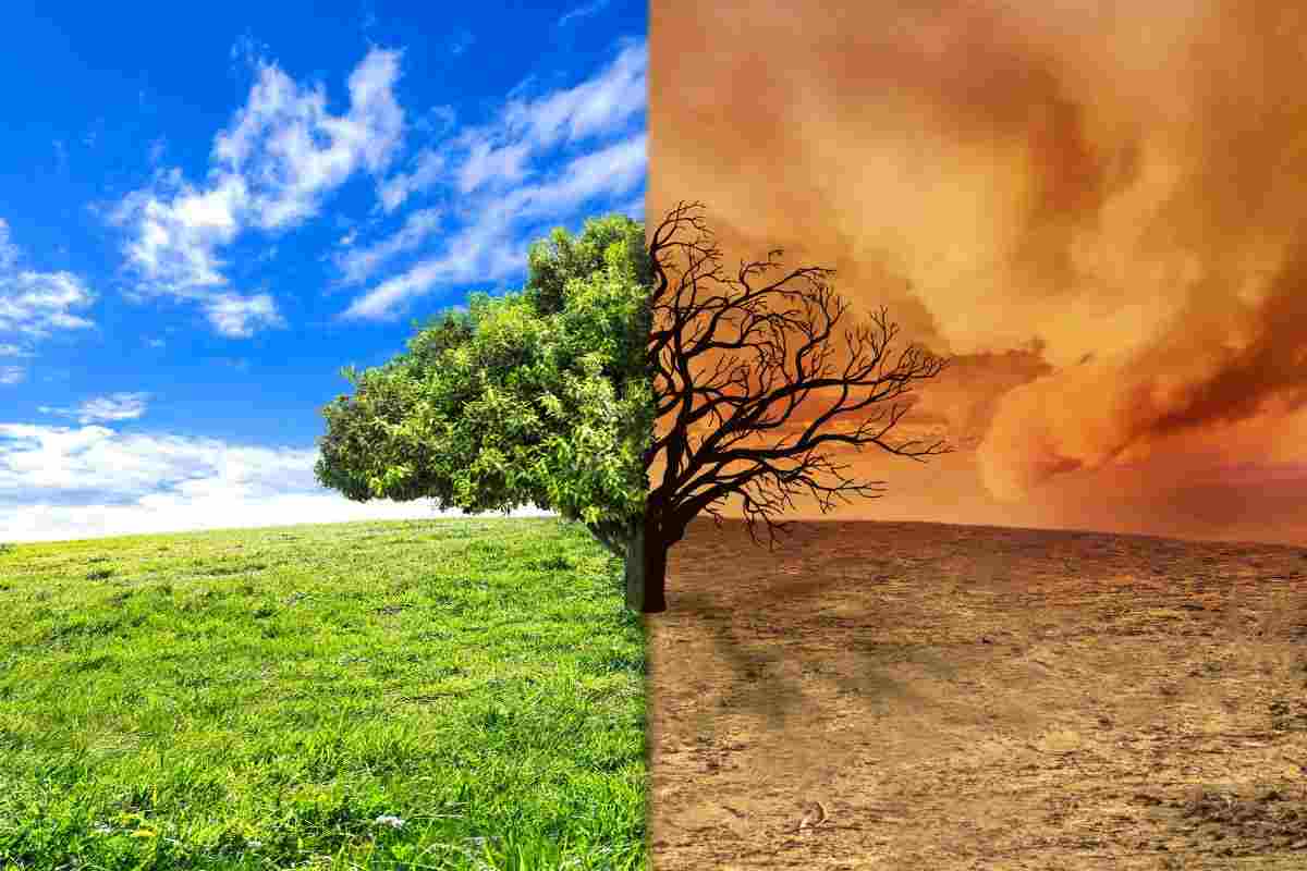A causa della crisi climatica tutto costerà di più 
