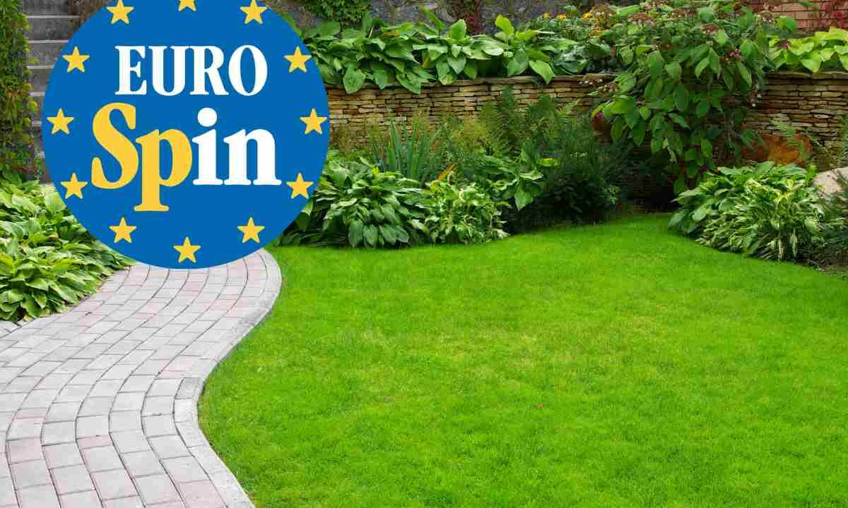 Eurospin lancia l’offerta shock che trasforma il tuo giardino in un’oasi da copertina
