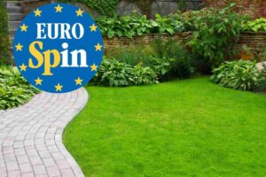 Eurospin lancia l’offerta shock che trasforma il tuo giardino in un’oasi da copertina