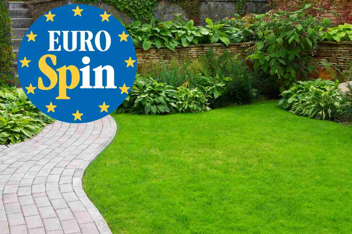 Eurospin lancia l’offerta shock che trasforma il tuo giardino in un’oasi da copertina