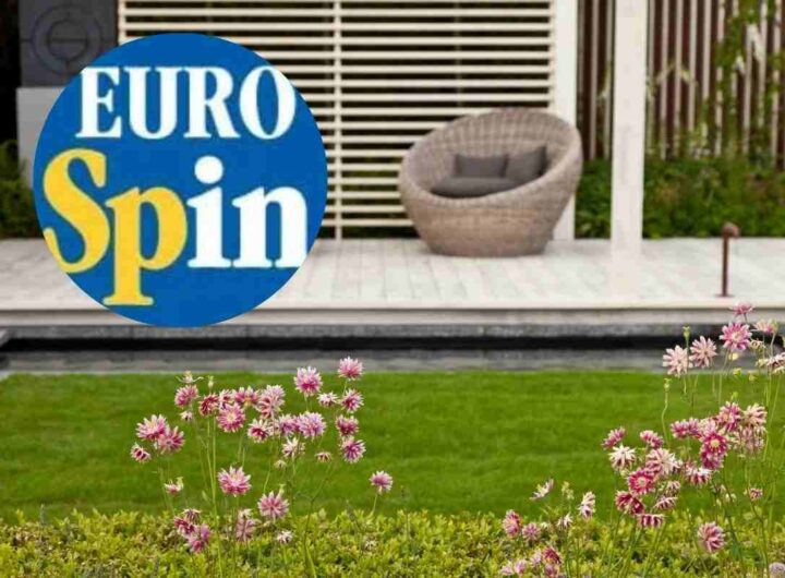 eurospin offerte: illumina il giardino a meno di 20 euro