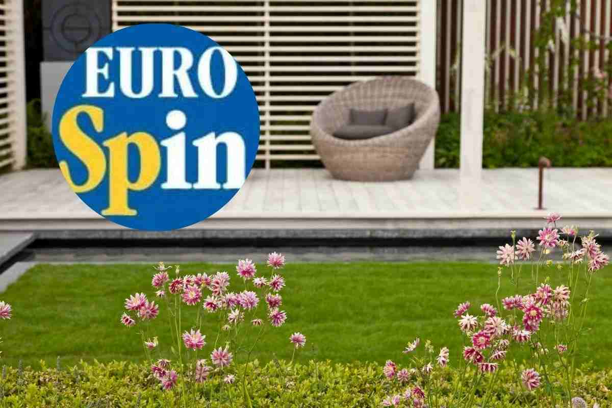 eurospin offerte: illumina il giardino a meno di 20 euro