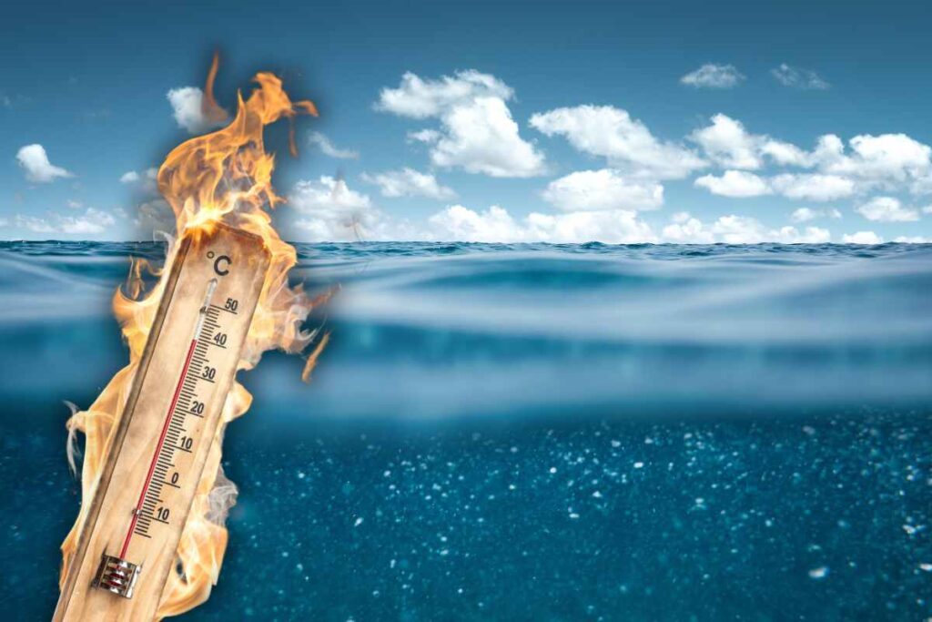 mare caldo cambiamento climatico