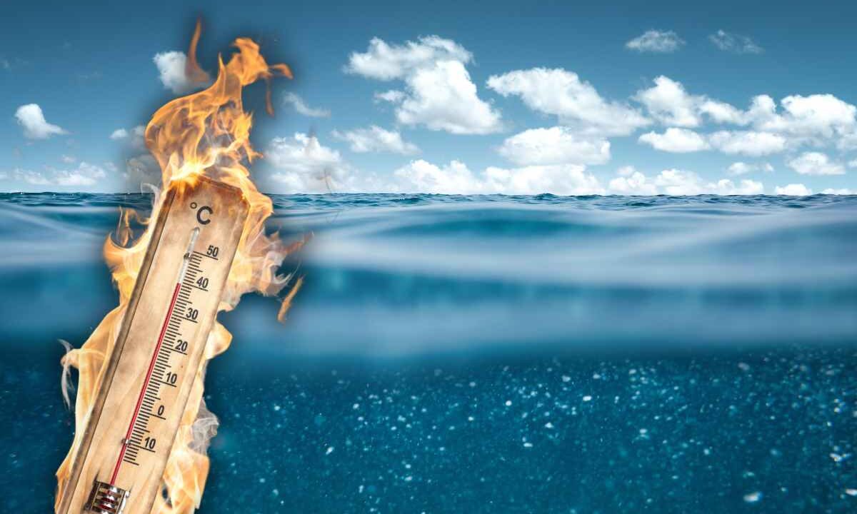 mare caldo cambiamento climatico
