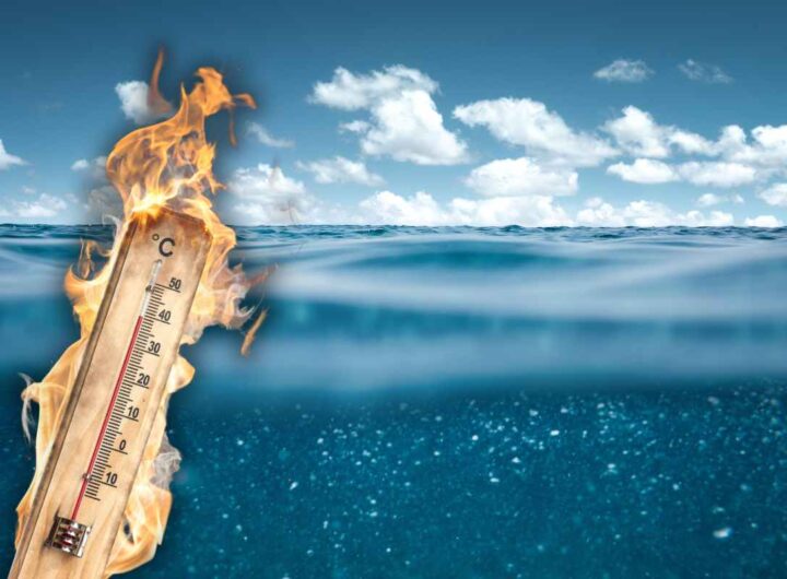 mare caldo cambiamento climatico