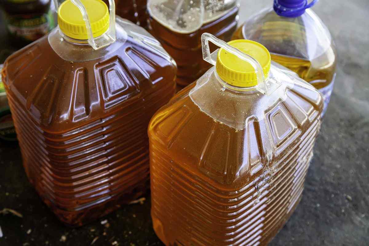 olio usato, stai sbagliando tutto: ecco come smaltirlo nel modo giustp