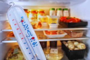 come dev'essere la temperatura del frigo in estate?