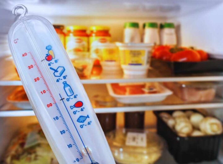 come dev'essere la temperatura del frigo in estate?