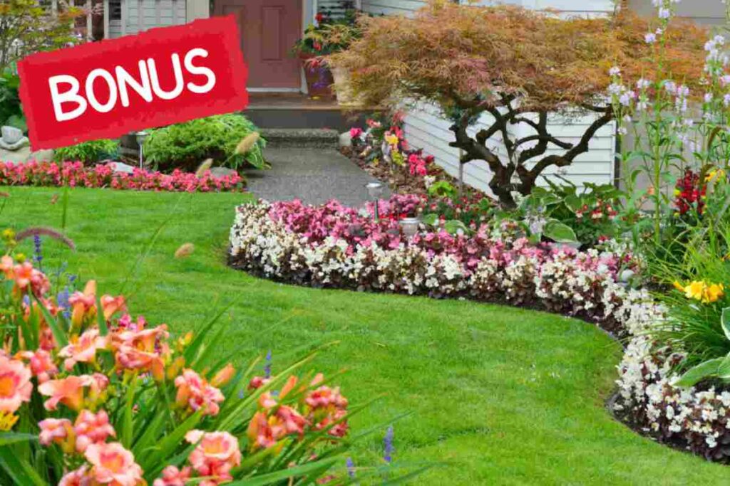 Bonus giardino