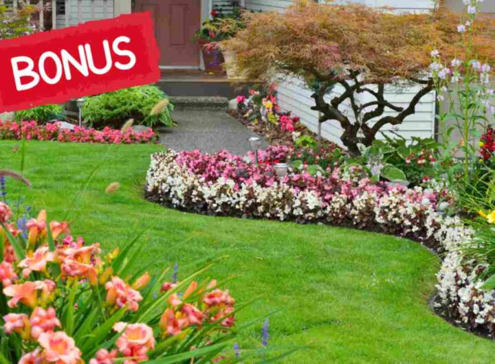 Bonus giardino