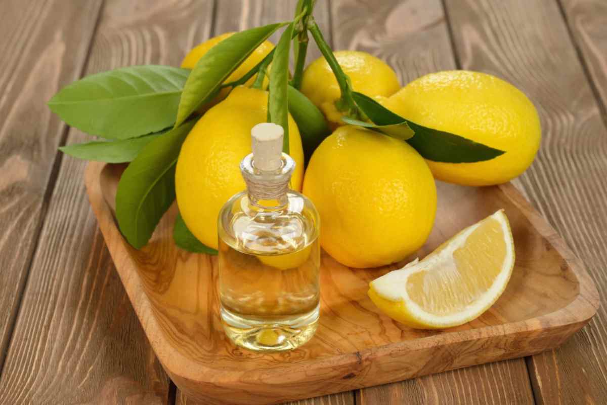Limone
