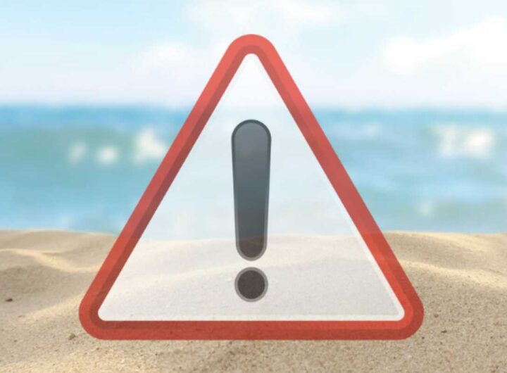 Negli ultimi anni, numerosi studi scientifici hanno evidenziato la pericolosità dei teli da mare sintetici