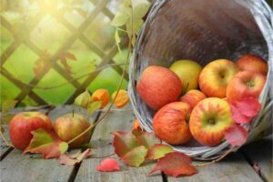 Come utilizzare le bocce delle mele
