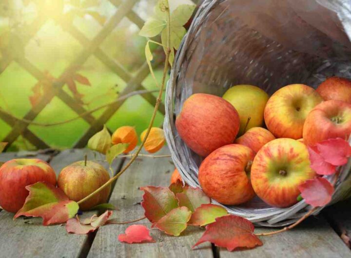 Come utilizzare le bocce delle mele