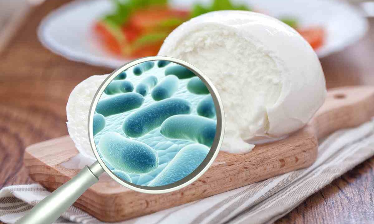 Mozzarella