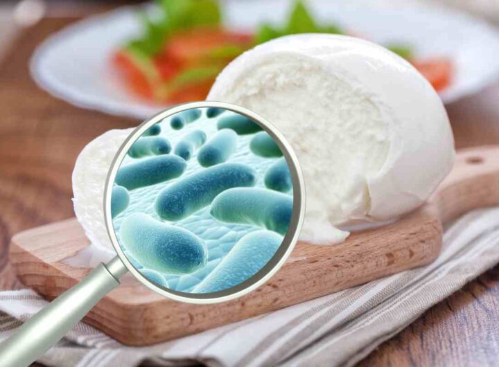 Mozzarella