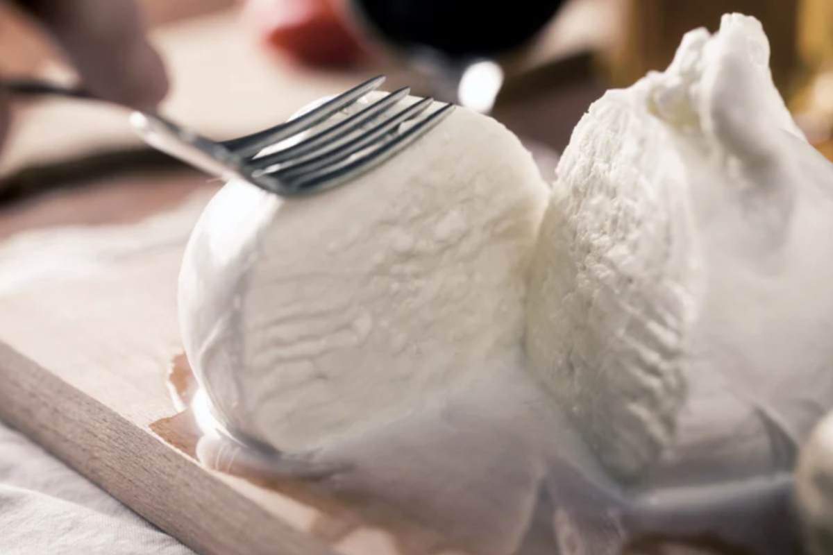 Mozzarella