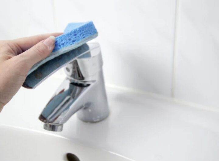 L’adozione di soluzioni naturali come aceto, percarbonato di sodio, acqua ossigenata e borotalco non solo tutela la salute delle persone e dell’ambiente,