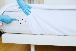 come eliminare gli acari