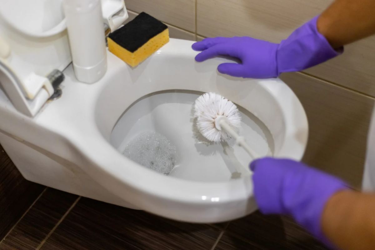 calcare WC 