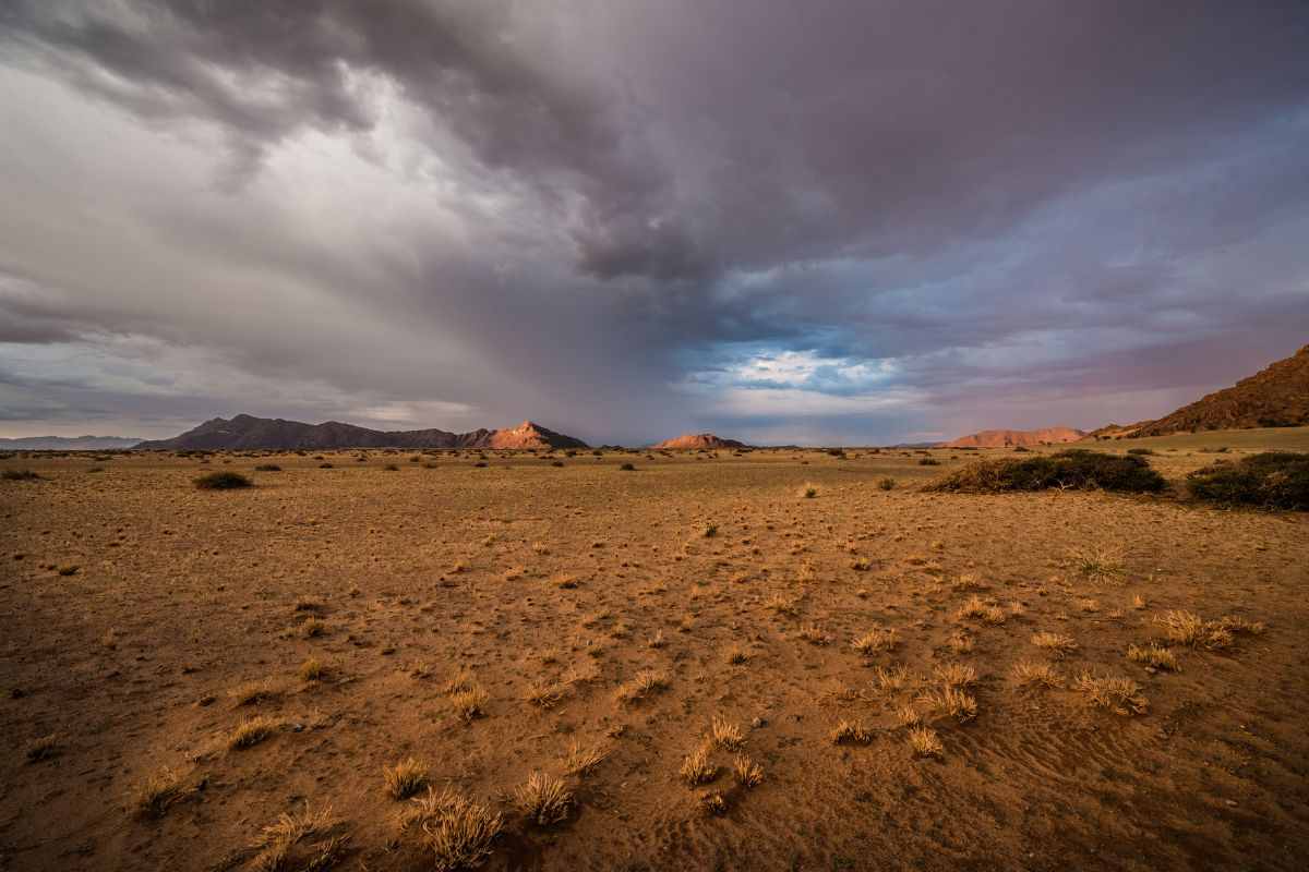 namibia, nel deserto ci trovi un frigo rosa