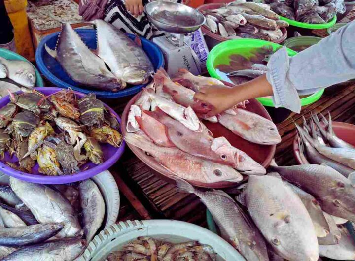 Pesce del supermercato, così capisci se è davvero fresco