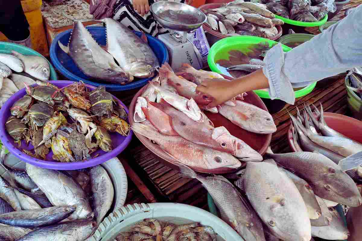 Pesce del supermercato, così capisci se è davvero fresco