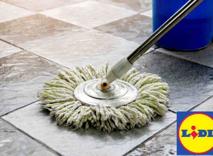pulizia pavimenti lidl