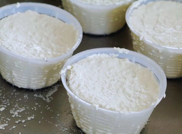 riciclare i cestini della ricotta
