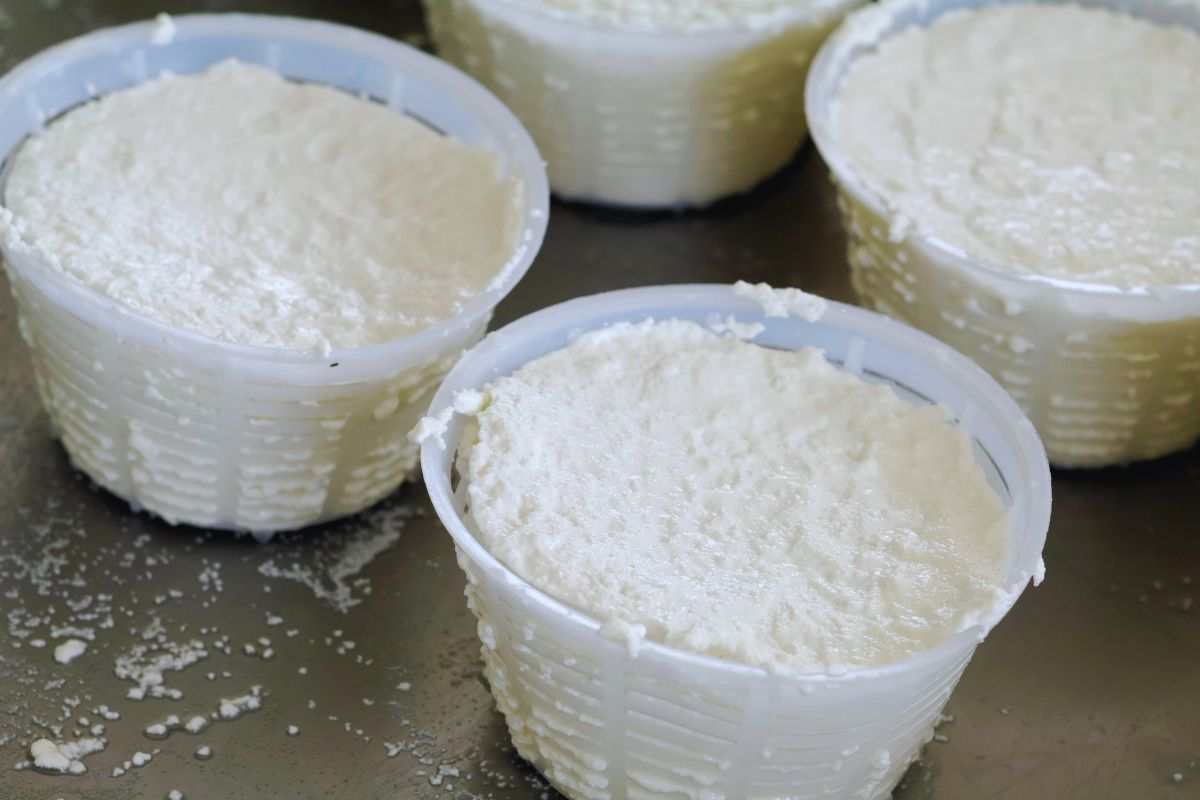 riciclare i cestini della ricotta