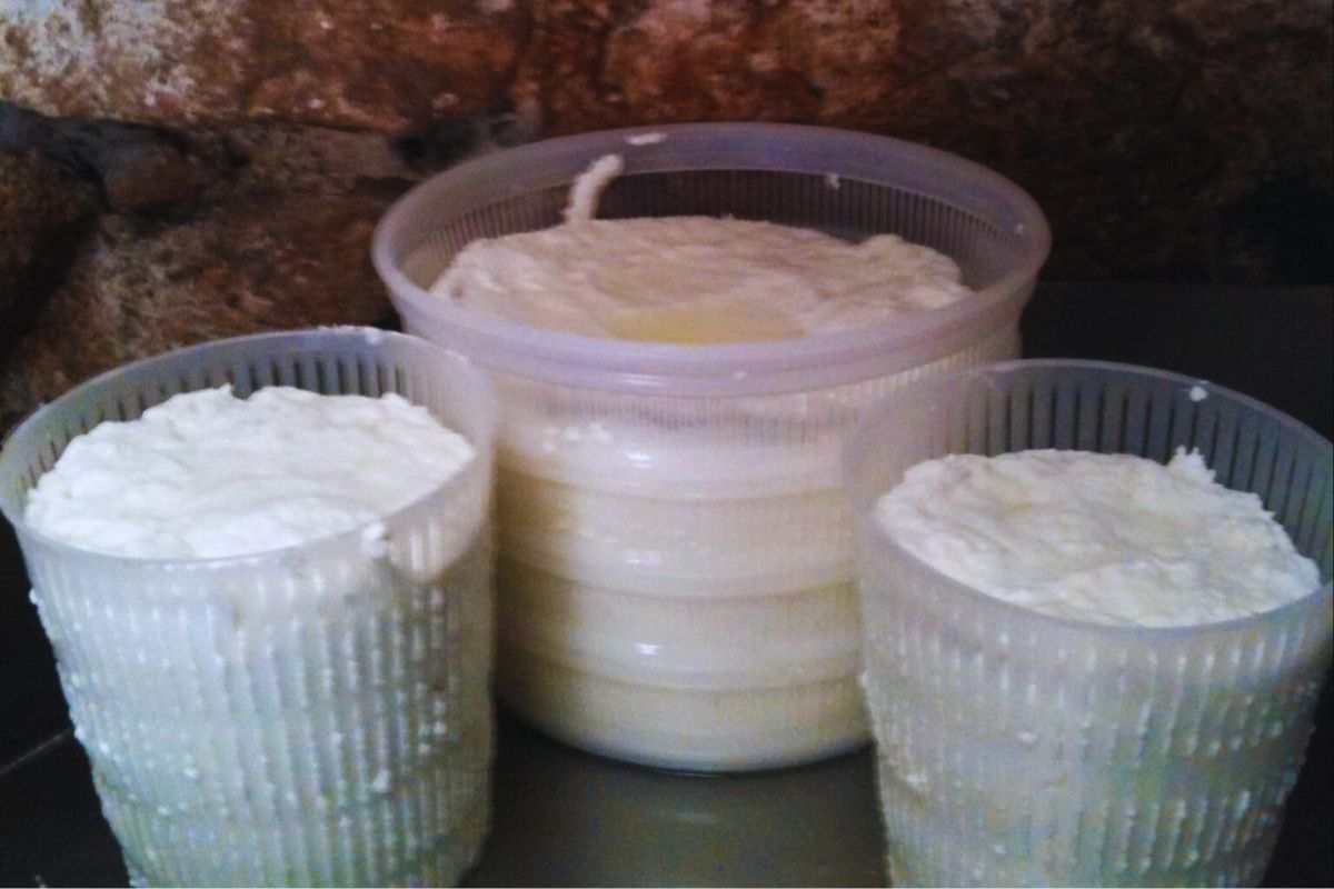 Cestini ricotta: idee da riciclo