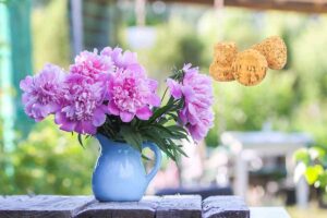 Tappi da sughero in vasi da fiori. Come utilizzarli