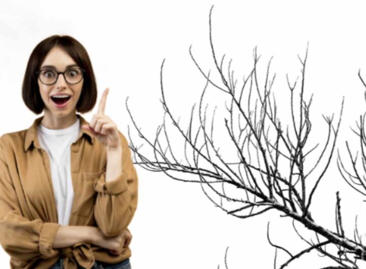 Questa soluzione, semplice ma d’effetto, permette di valorizzare elementi naturali raccolti durante una passeggiata nel bosco o nel giardino