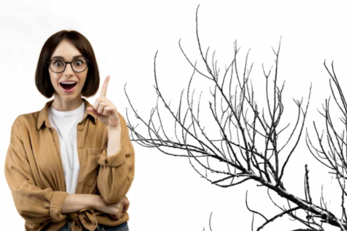 Questa soluzione, semplice ma d’effetto, permette di valorizzare elementi naturali raccolti durante una passeggiata nel bosco o nel giardino