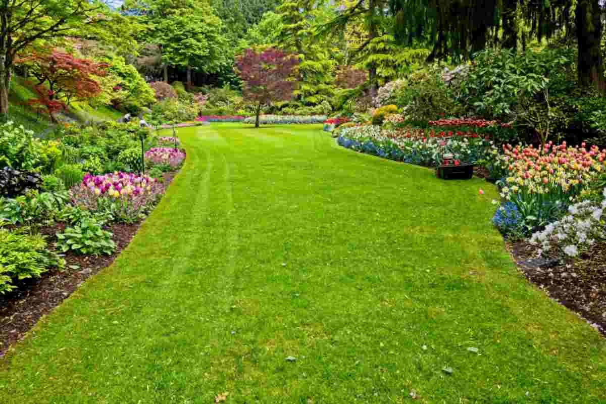 Giardino 