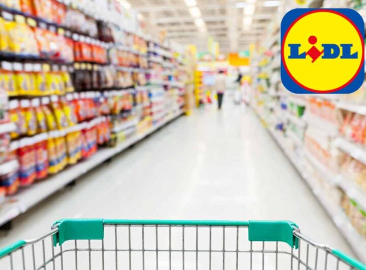 Lidl