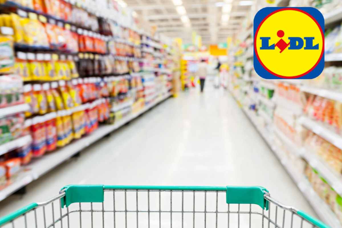 Lidl