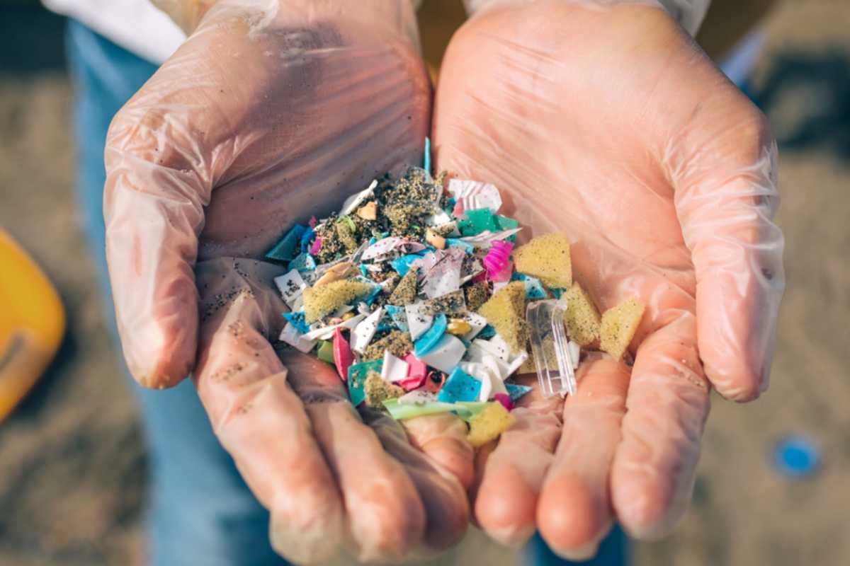 Microplastiche 