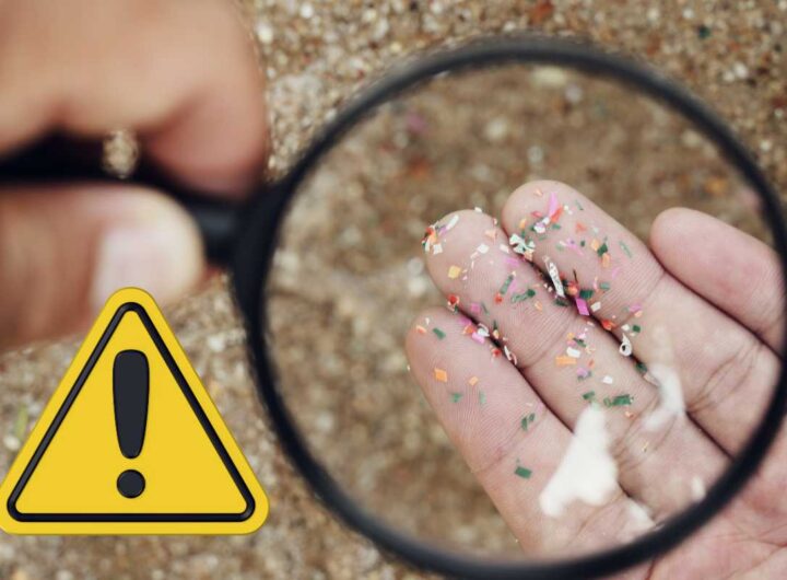 Microplastiche