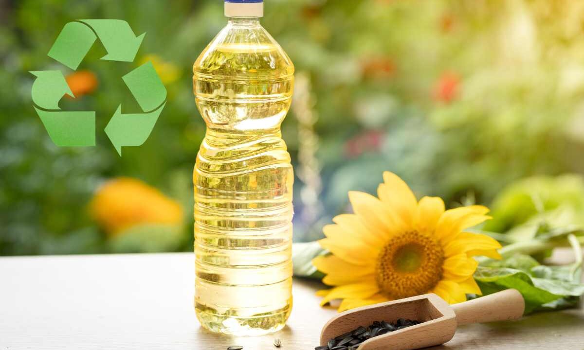 Olio frittura