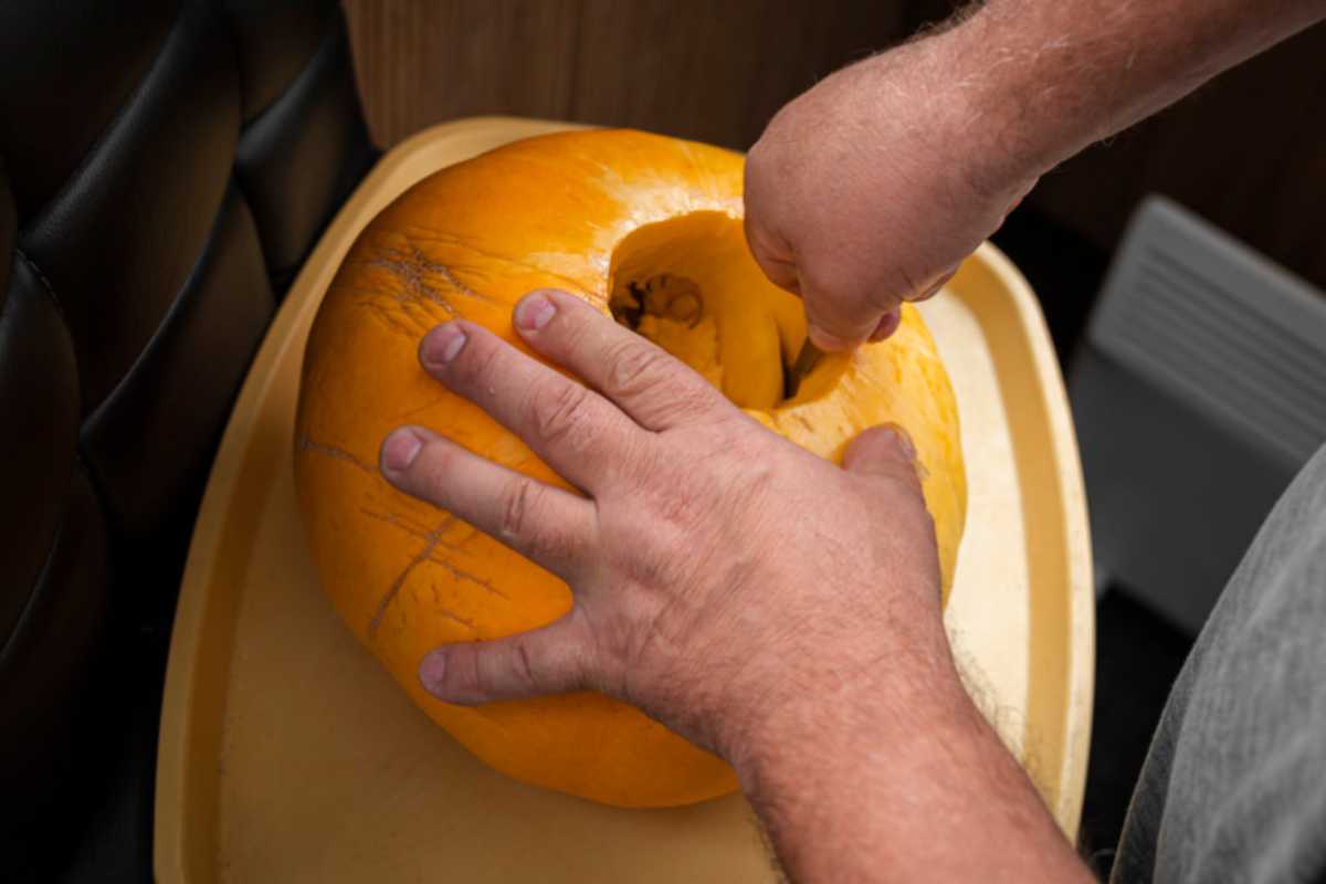 Zucca 