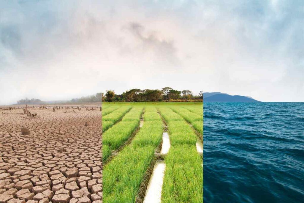 terra rischia l'estinzione: chi è a rischio