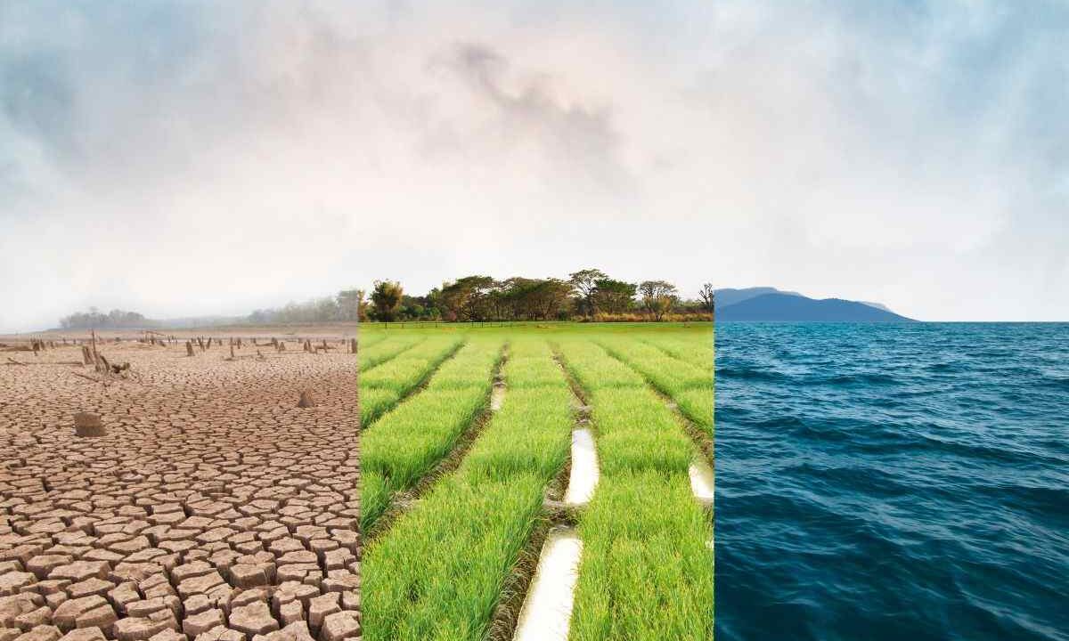 terra rischia l'estinzione: chi è a rischio