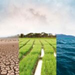 terra rischia l'estinzione: chi è a rischio