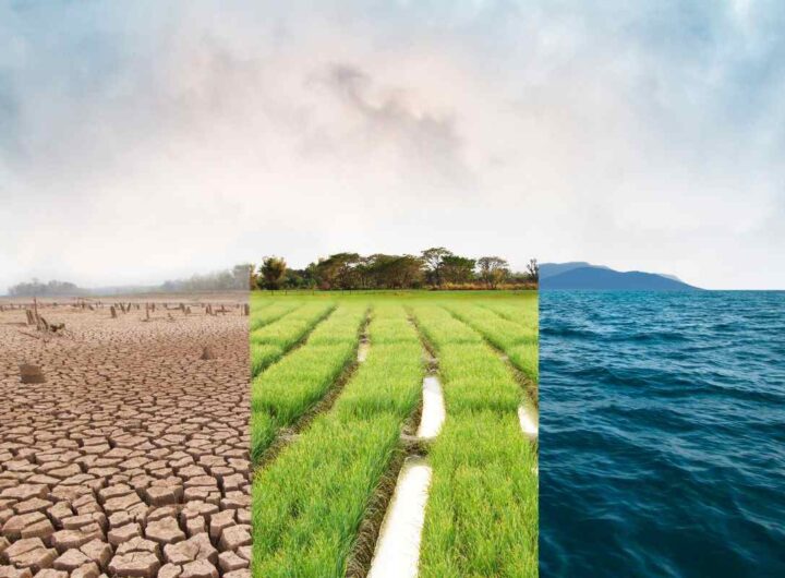 terra rischia l'estinzione: chi è a rischio