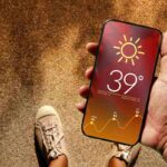 meteo senza smartphone: il metodo della pigna
