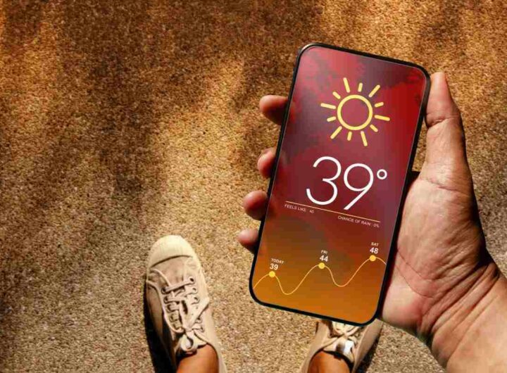 meteo senza smartphone: il metodo della pigna